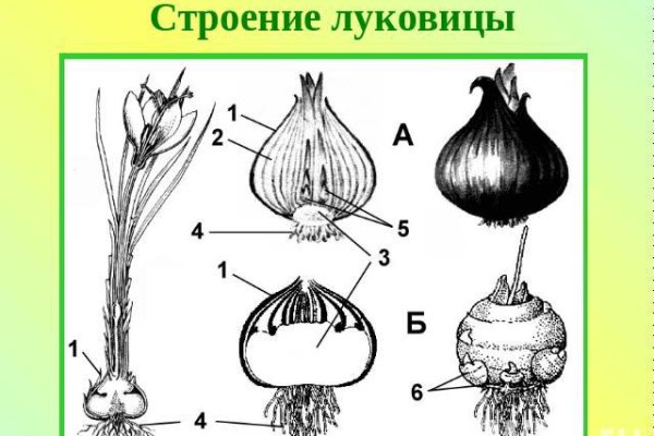 Рабочее зеркало кракен