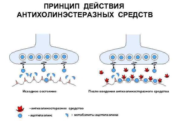 Кракен телеграм